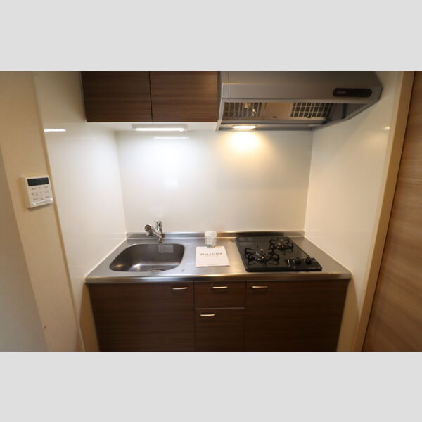 Blanc Neige Nishichiba(ブラン　ネージュ)201号室 キッチン