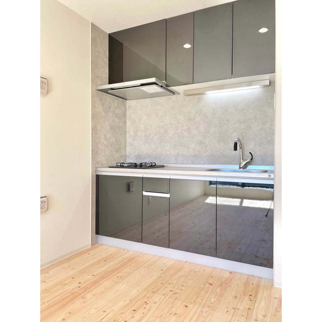 ビーバレーＭⅤ102号室 ☆システムキッチン