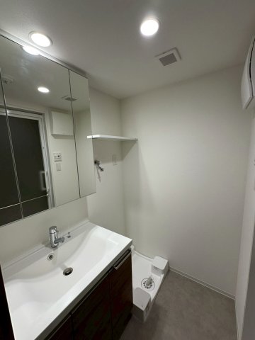 GENOVIA世田谷砧Ⅱ0212号室 洗面