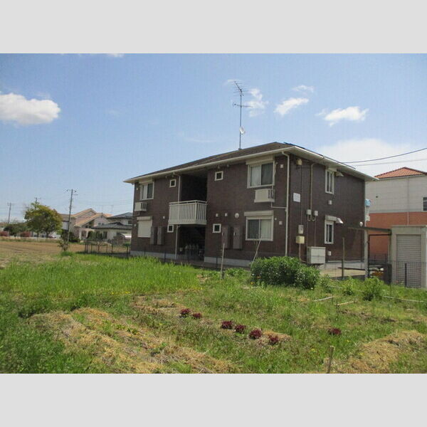 Carinopenseeの外観画像