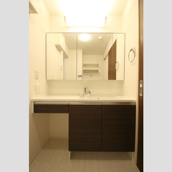 メゾン　アムール302号室 洗面