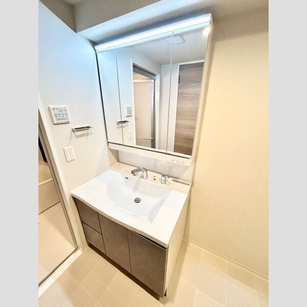 ロイジェント南池袋0501号室 洗面所