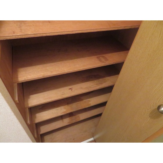 エステートピアＭⅠ0301号室 シューズボックス