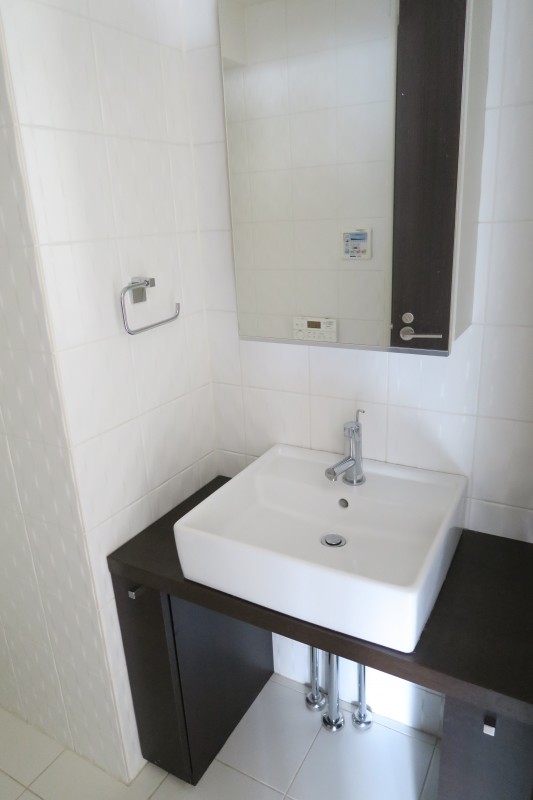 ハイリーフ上野6階 洗面