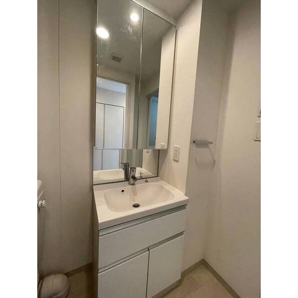 ハウスセゾン新板橋0902号室 洗面