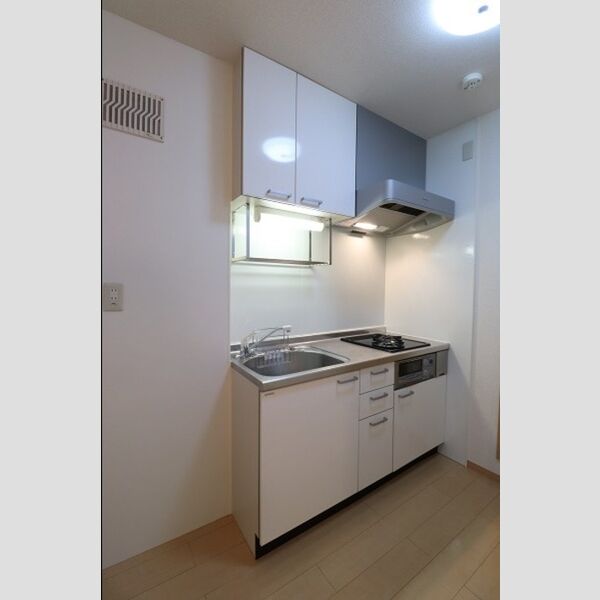 サニーハイツ 二口ガスコンログリル付システムキッチン