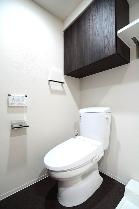 ステージグランデ向島 ※カラータイプは白です