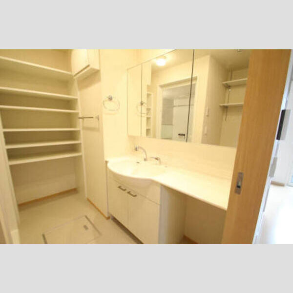 レイストリーフ101号室 2LDK洗面