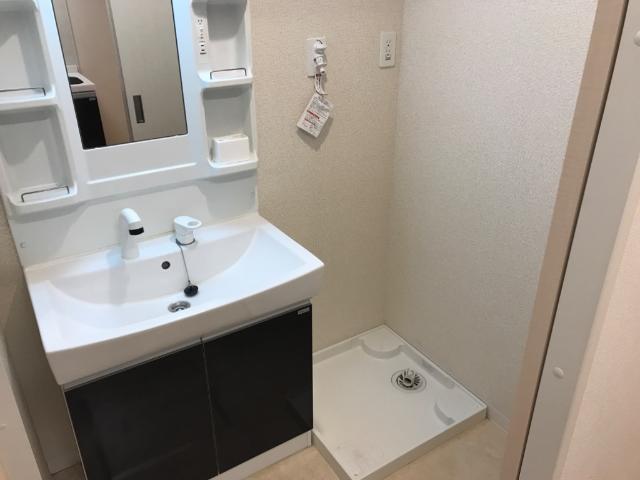 グレイスヴィラ湘南 洗面