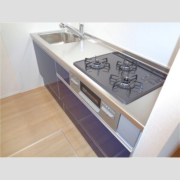 フランボワーズ中島105号室 システムキッチン