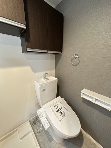 ベイルーム中央林間105号室 トイレ