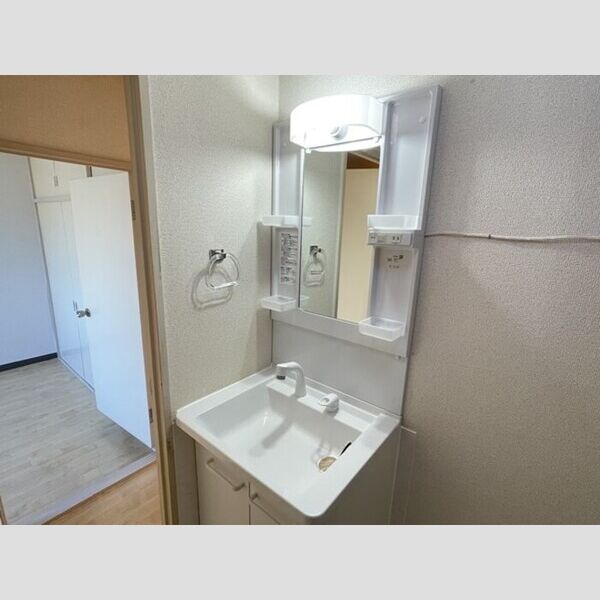 パイントリーハイツ503号室 洗面所　洗髪洗面化粧台