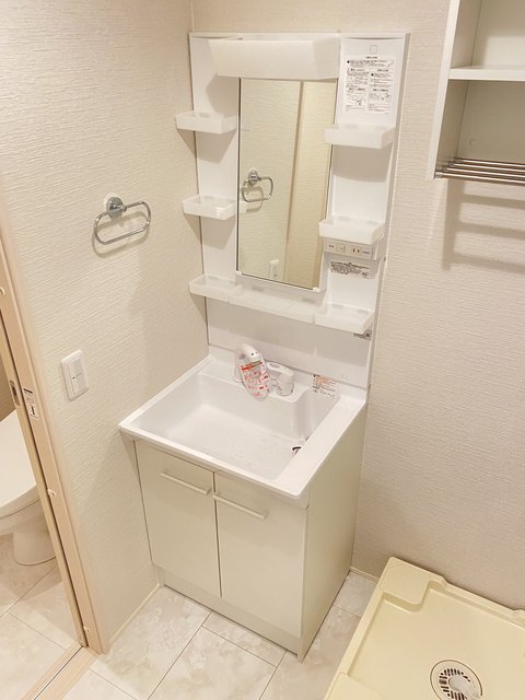 グランエスポワール 洗面