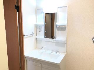 メゾンドリーム101号室 洗髪洗面化粧台（イメージ）