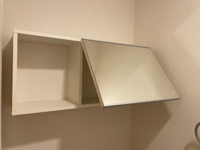 メゾン．ネクストエイト201号室 トイレ上部収納