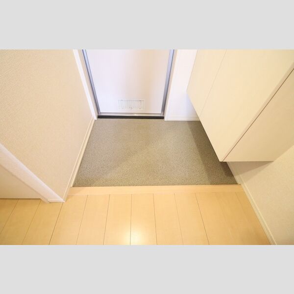 スカイパークYASHIO303号室 玄関