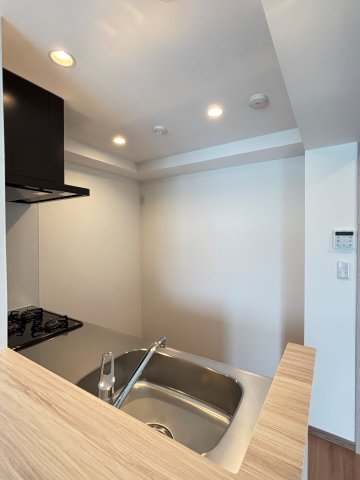 ＬＡＳＡ大崎Ⅴ0402号室 その他