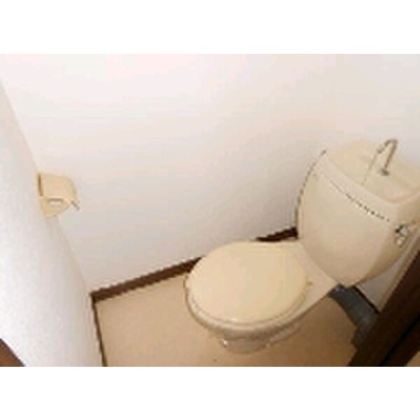 メゾングランドール0203号室 トイレ