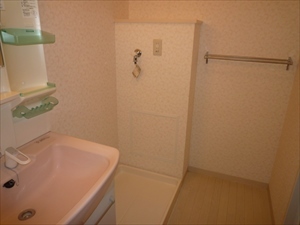 ホワイトヘイヴン0202号室 洗面所