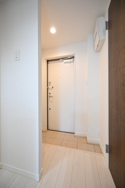 メルクリオ東川口3階 玄関