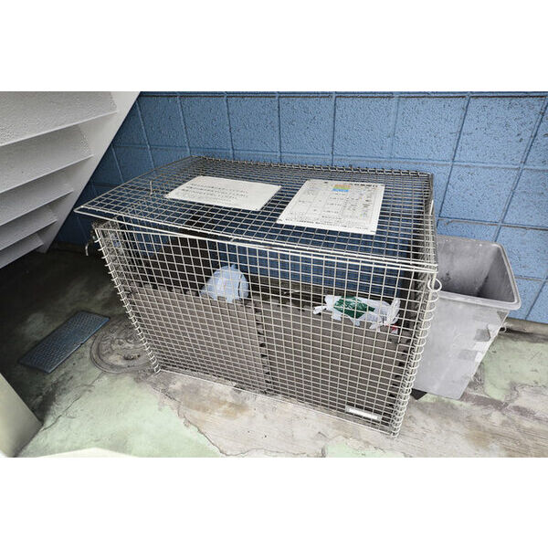 ビラメゾン国立0103号室 部屋その他