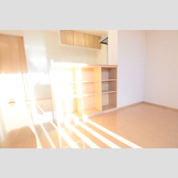 メゾン・ド・ライコ　Ⅱ202号室 キッチン下収納