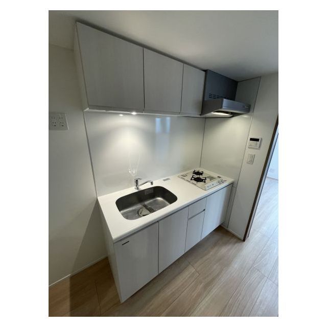 グランデュオ二子多摩川0301号室 キッチン