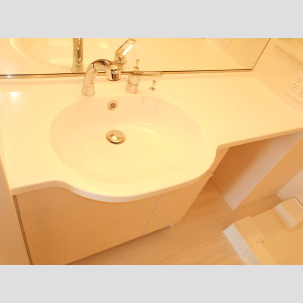 ラ・ルーチェ(川越)102号室 洗面