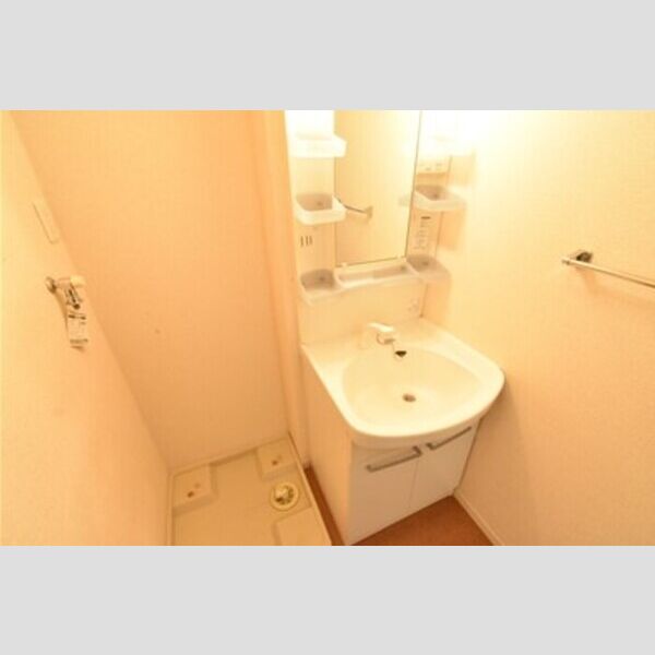 メゾン ド コンフォール201号室 洗面所