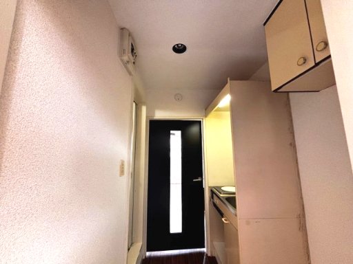 リエス稲田堤206号室 内観