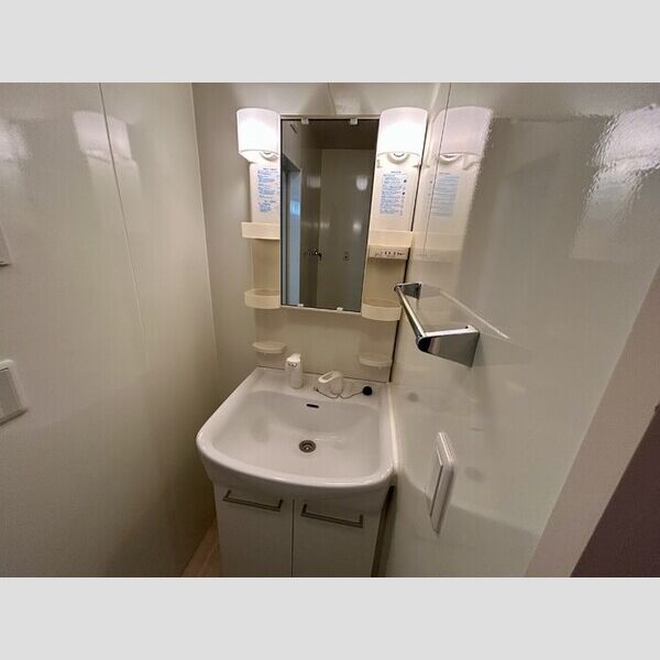 ブランシュール　A 洗面所