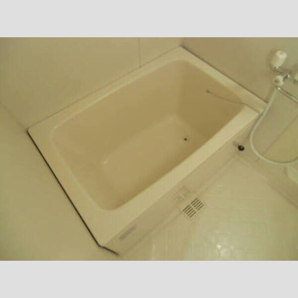 パークハイム　ABA203号室 A203(浴室)