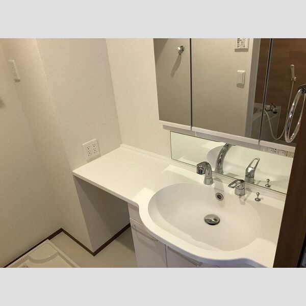ヴェルドミール成城101号室 洗面台