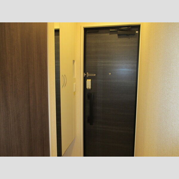 ミツハウスヘキサ 玄関