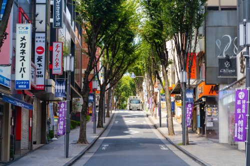 パレステュディオ小石川後楽園6階 【その他】神楽坂通り商店街まで977ｍ