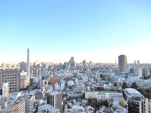 ブランズ渋谷桜丘19階 バルコニーからの眺望