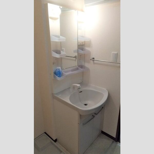 ベルデ藤原 洗面所