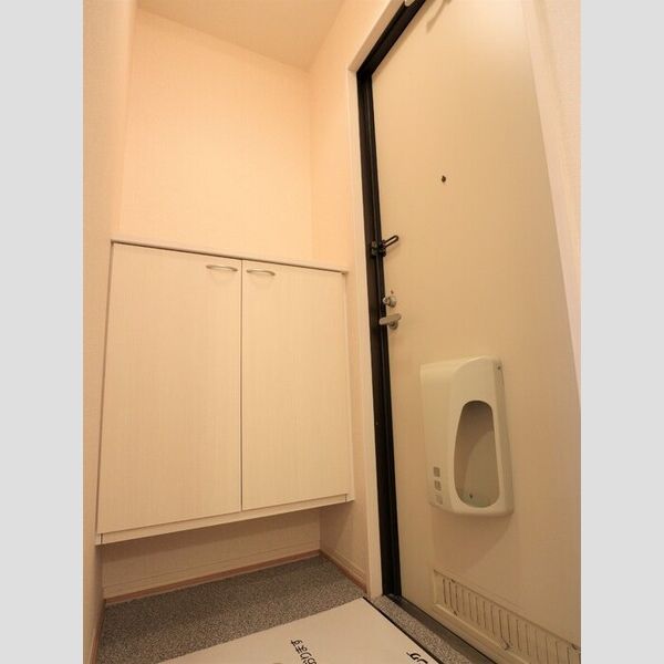 セジュール上鶴間 玄関