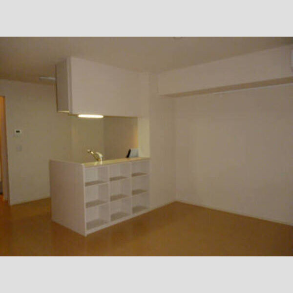 ミールレ野川Ⅱ302号室 ミールレ野川Ⅱ302キッチンカウンター収納