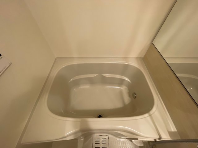DIPS練馬春日町202号室 お風呂