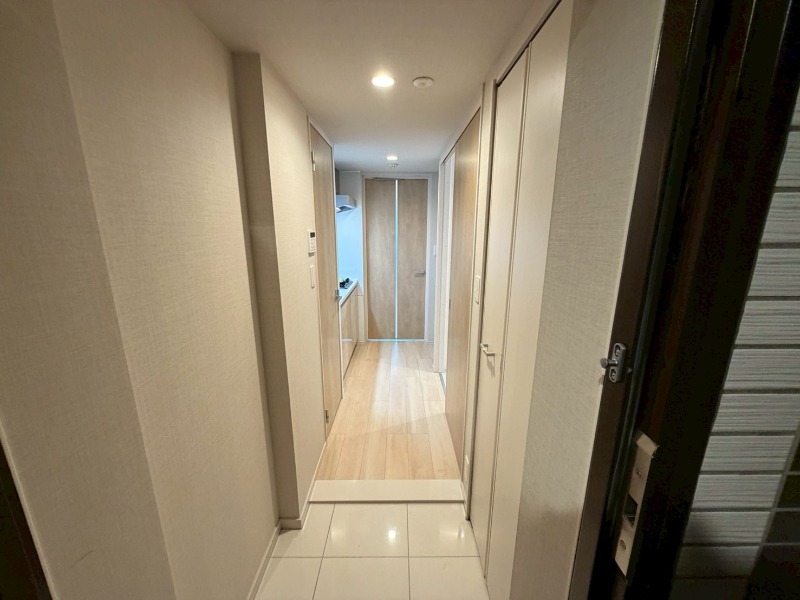 DIPS墨田EASTⅡ2階 玄関