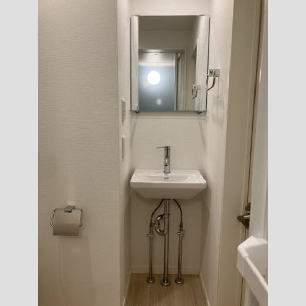 アクシスコート小岩302号室 独立洗面台