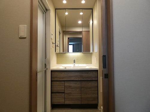 アトラス北品川2階 洗面化粧室