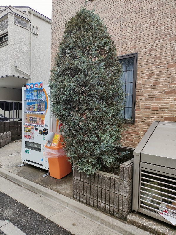 リューデスハイムⅡ1階 部屋その他