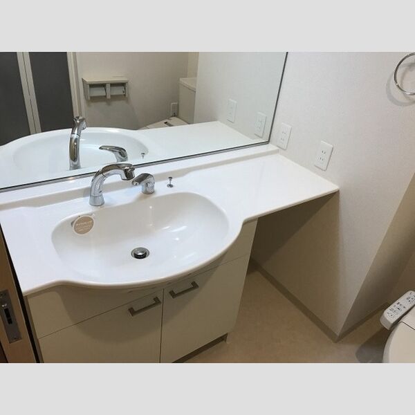 ステラ　トーレ(Stella　torre)203号室 洗髪洗面化粧台