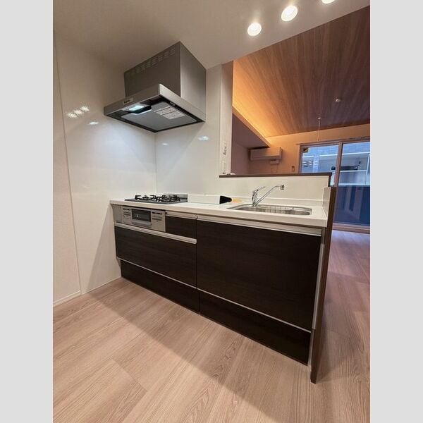 ゼラニウム湘南台203号室 キッチン