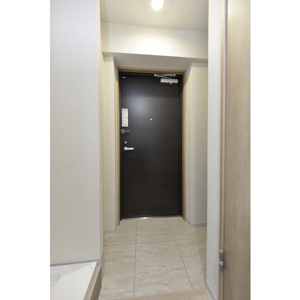 クリオ　ラモード学芸大学Ⅱ0306号室 玄関