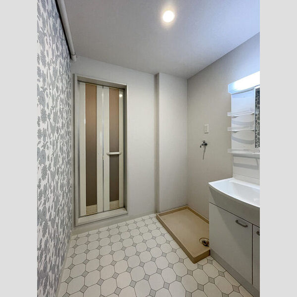 ハイカムール駒形202号室 洗面室