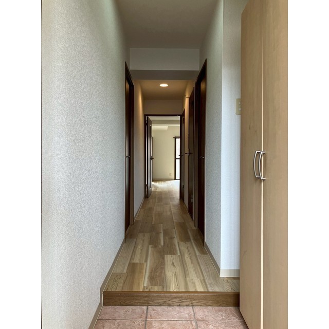 デネブ・スワン201号室 玄関から室内