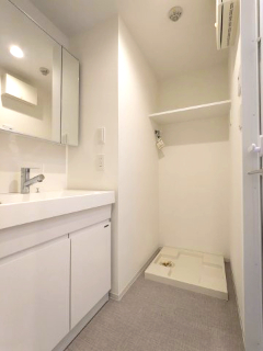 プラティーク大森山王401号室 洗面